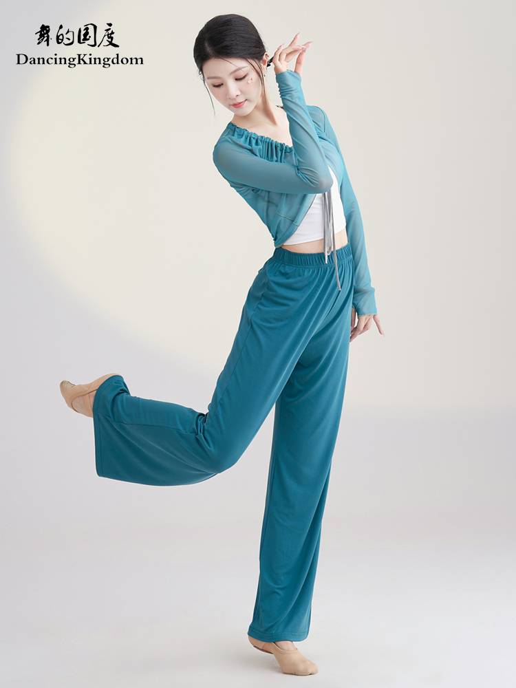 Classical dance clothing body rhyme, thin gauze Chinese dance, elegant shirt, female performance, skirt pants, national dance watch show