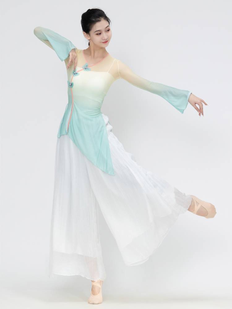 Classical dance clothing female elegant body rhyme gauze women's top exercise exercise art test base training national Chinese dance performance service