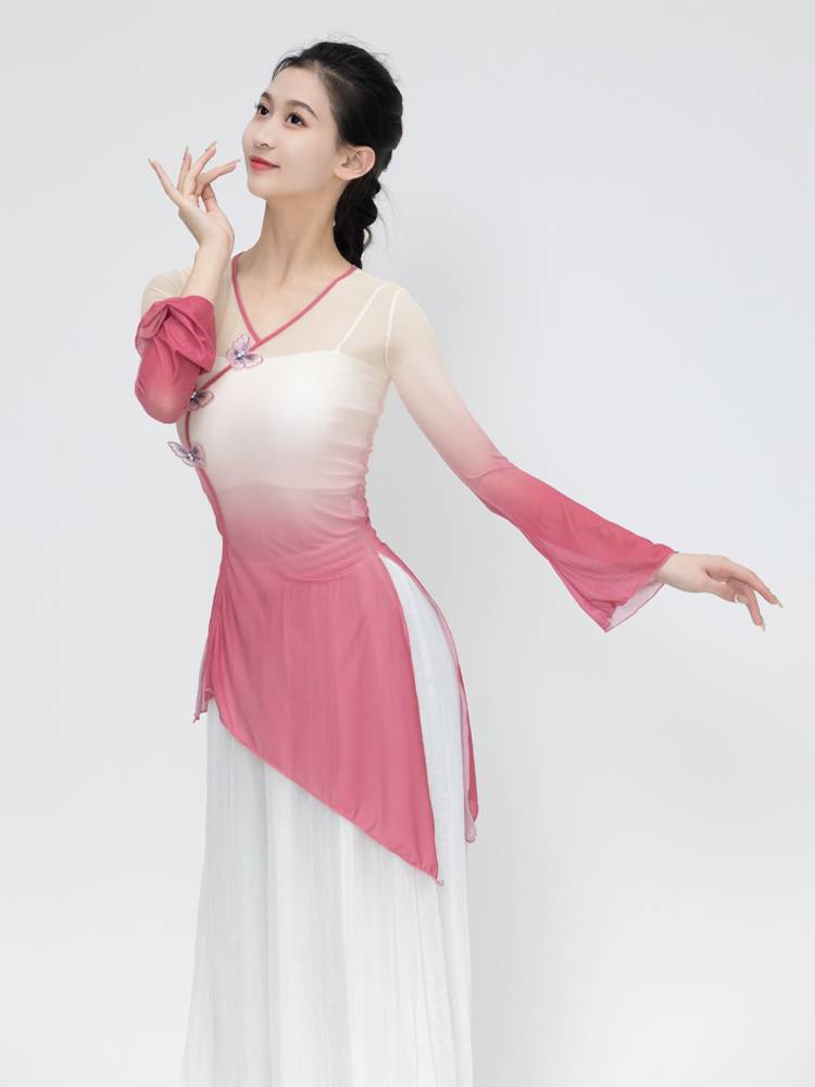 Classical dance clothing female elegant body rhyme gauze women's top exercise exercise art test base training national Chinese dance performance service