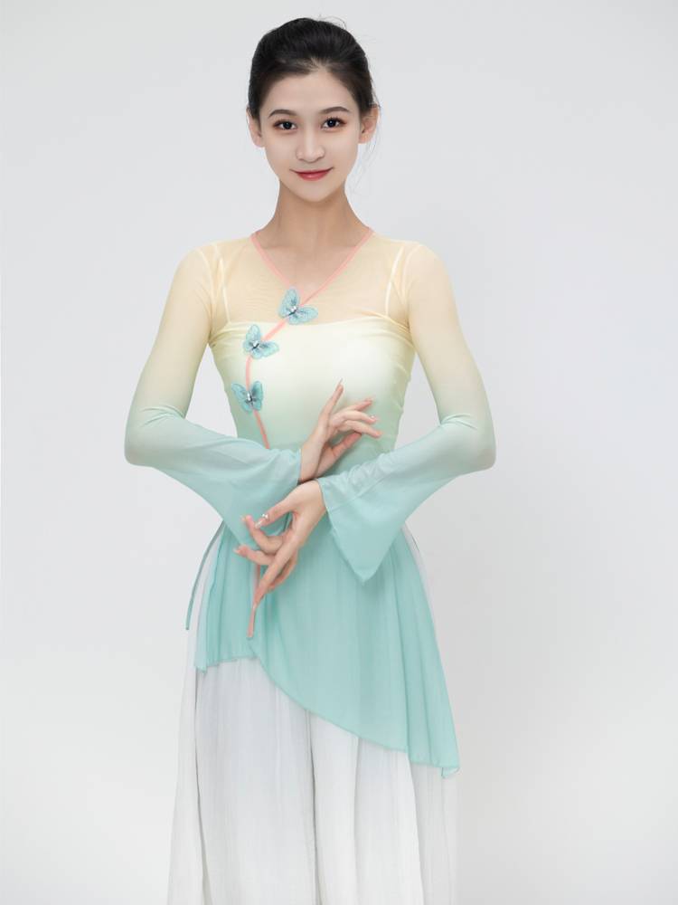Classical dance clothing female elegant body rhyme gauze women's top exercise exercise art test base training national Chinese dance performance service