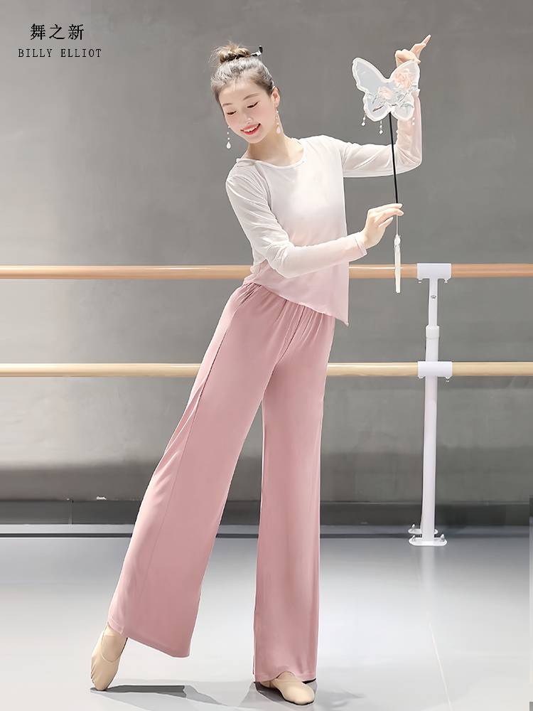 Classical Dance Dance Dressing Dress Autumn Gauze Fairy Ferry Chinese Dance Clothing Dance Dance Dance Practice Nets Top