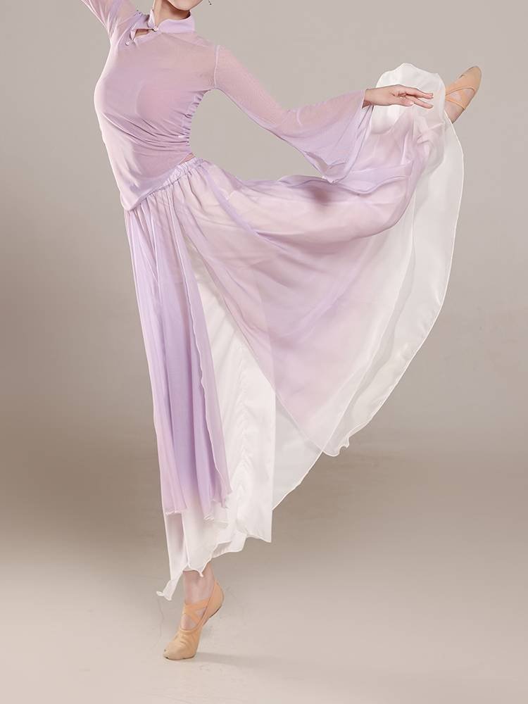 Classical dance dance clothing elastic net gauze yarn gauze female elegant training skills Chinese dance nation performance service