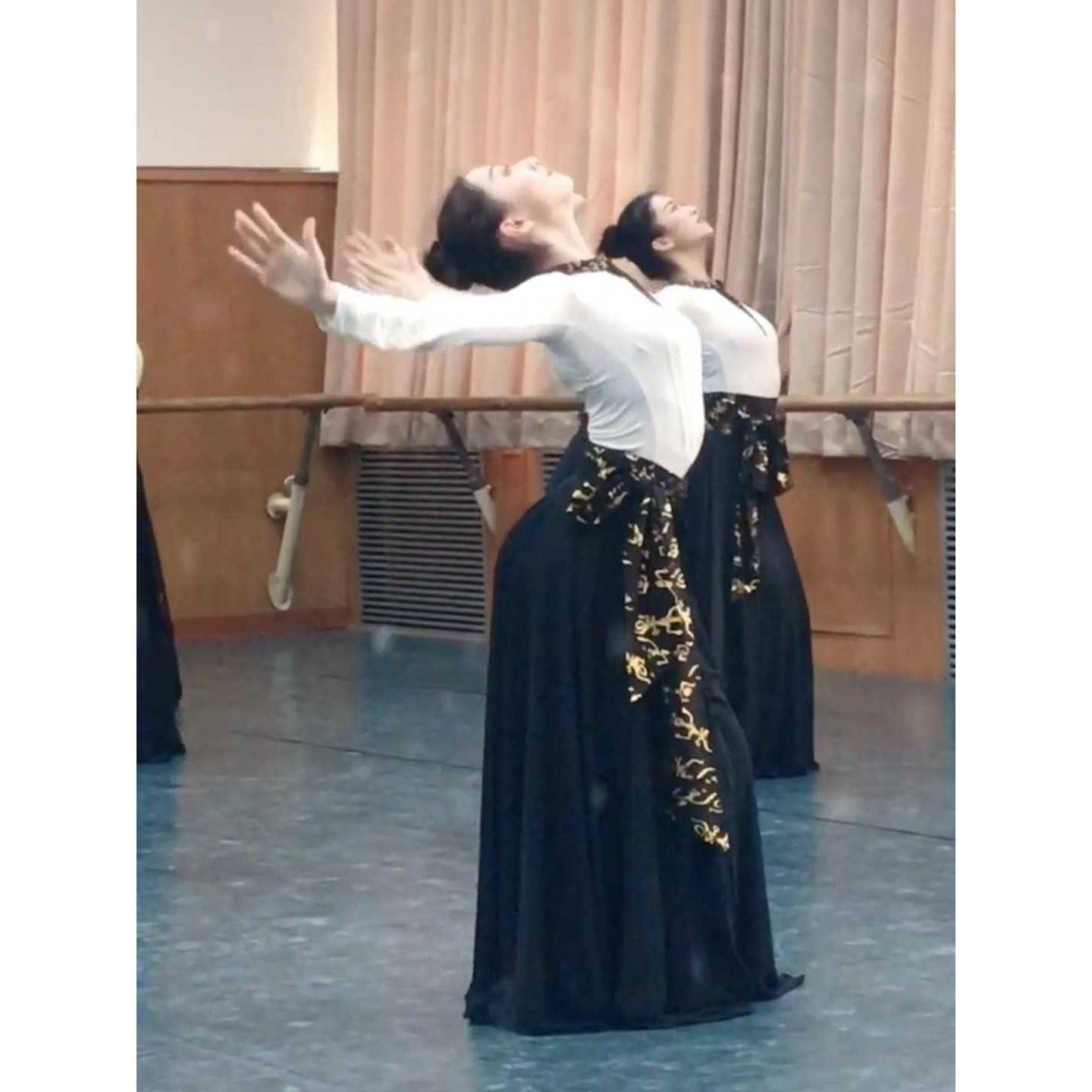 Dance Yimeng dance clothing large skirt national dance female adult art test practice half -body skirt jacket suit