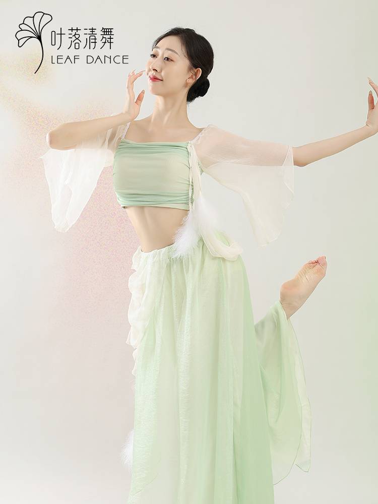 Ye Luo Qing dance classical dance feathers elegant yarn dance performance service Chinese dance Chinese dance color feather skirt performance clothes