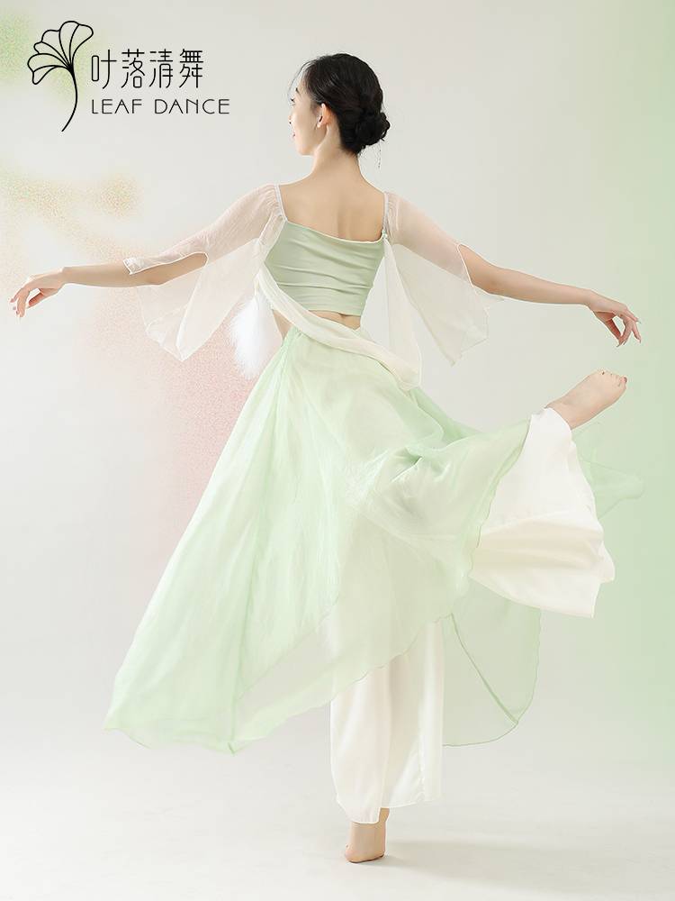 Ye Luo Qing dance classical dance feathers elegant yarn dance performance service Chinese dance Chinese dance color feather skirt performance clothes