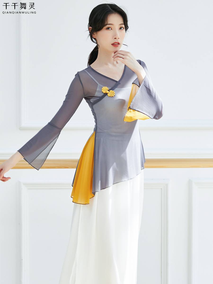 Classical Dance Dance Fun Dress, elegant body rhyme gauze, Chinese dance female adult top dance dance, national dance showing clothing