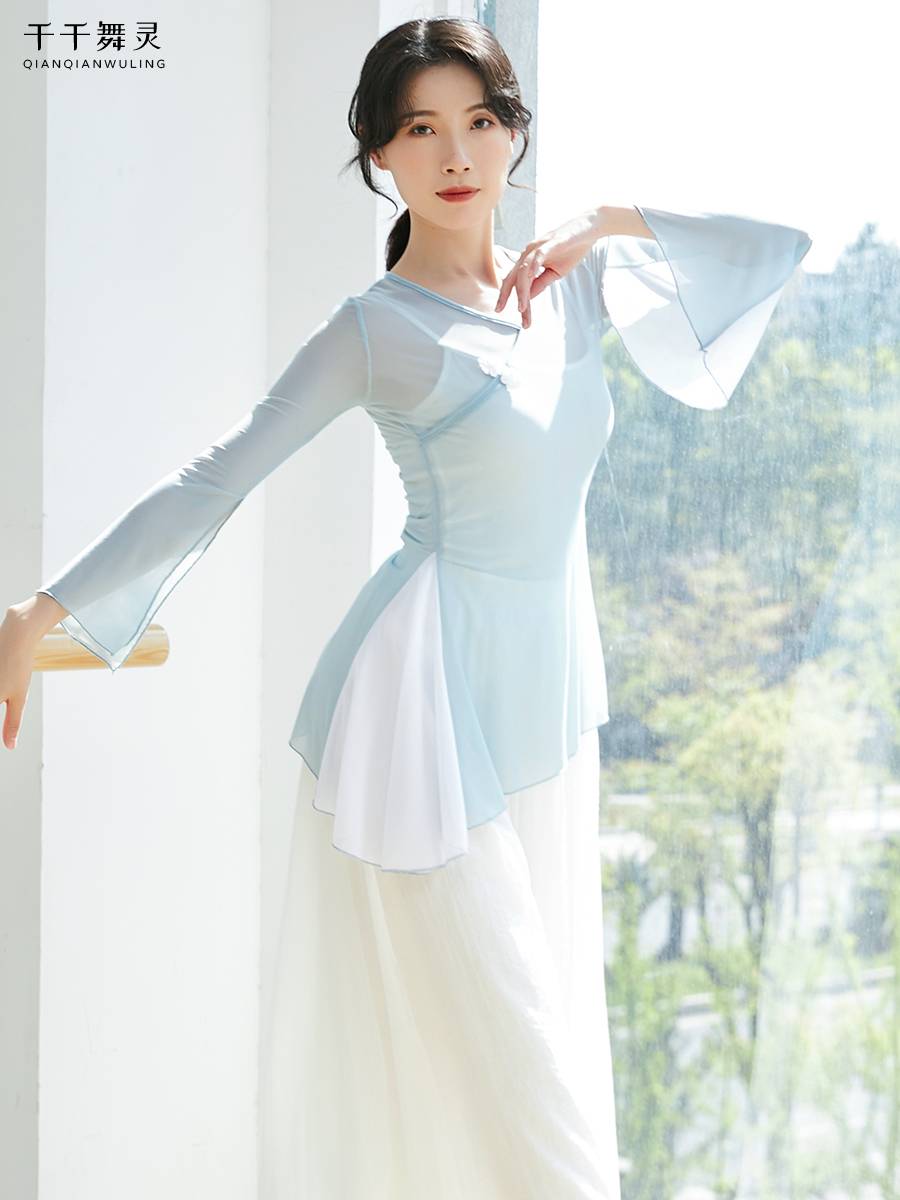 Classical Dance Dance Fun Dress, elegant body rhyme gauze, Chinese dance female adult top dance dance, national dance showing clothing