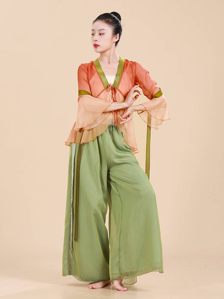 Fuyu Classical Dance Female Female Women's Severe Body Rhymes Gravity Chinese Dance Practice Series Performance Set