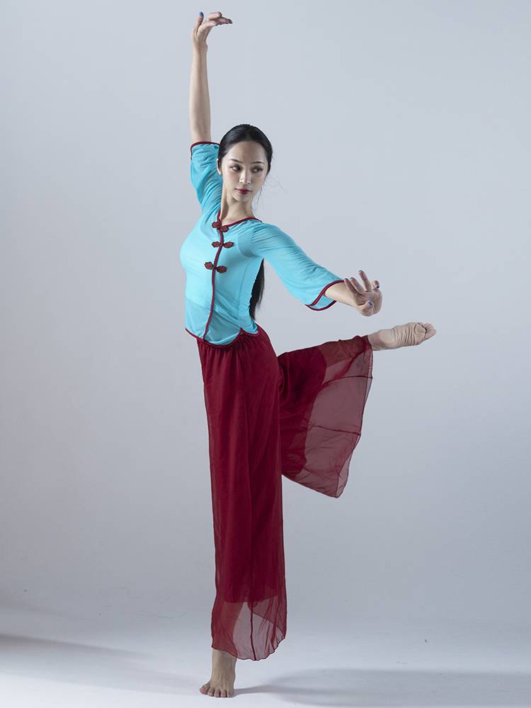 Chinese dance dance clothing gauze dance classical dance body rhyme new practice service women's net gauze top show suit