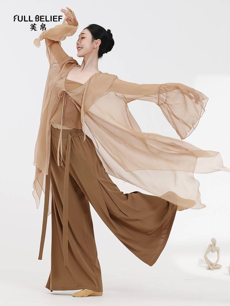 Fuyu classical dance clothing female elegant Hanfu cardigan shirt performed fairy net gauze clothing watch exercise skills