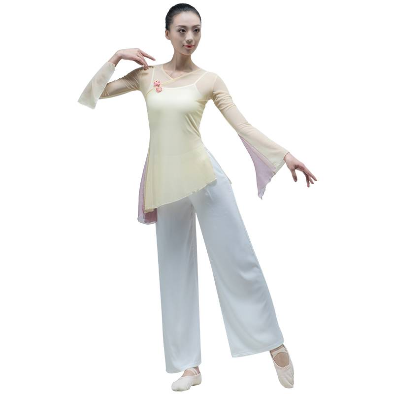 Classical dance body rhyme gauze performance clothing elegant stitching net gauze national dance service modern dance exercise female top