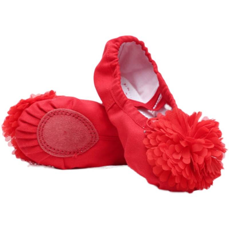 Children's dance shoes yoga Latin dance shoes practice shoes female adult canvas cat claw shoes soft soles dance shoes girl leather shoes