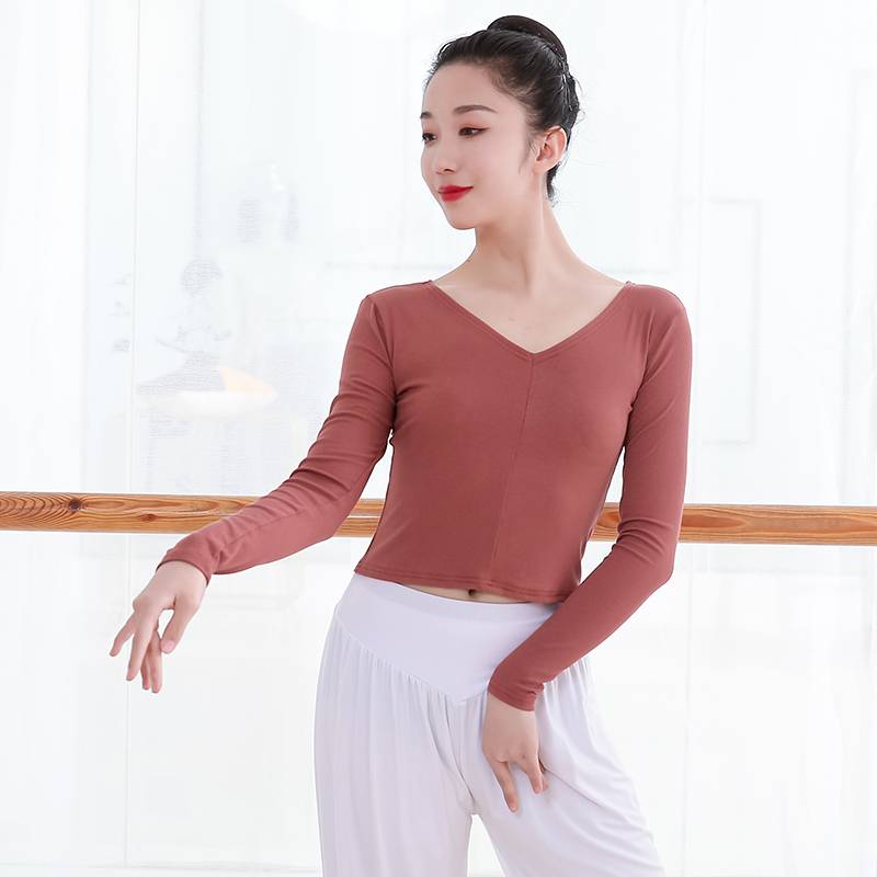 Chinese dance dance service female adult long -sleeved V -neck Latin dance service ballet modern dance top teacher art test