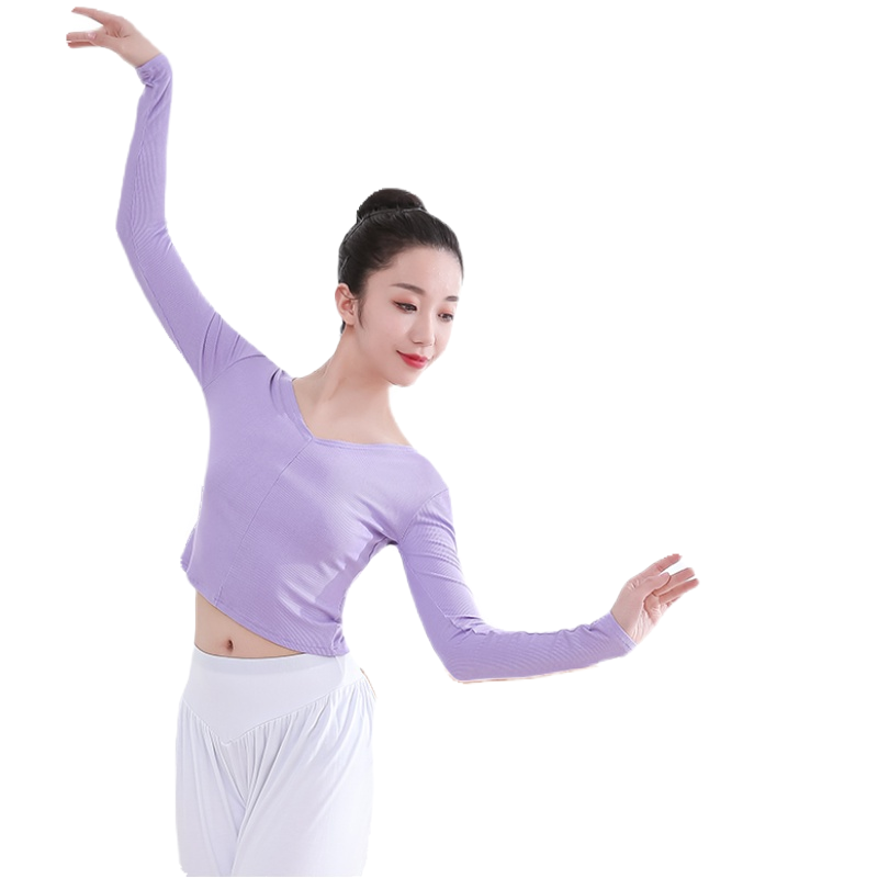 Chinese dance dance service female adult long -sleeved V -neck Latin dance service ballet modern dance top teacher art test