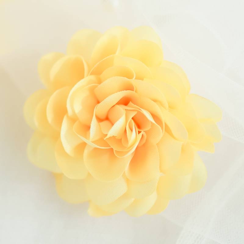 Yellow flower