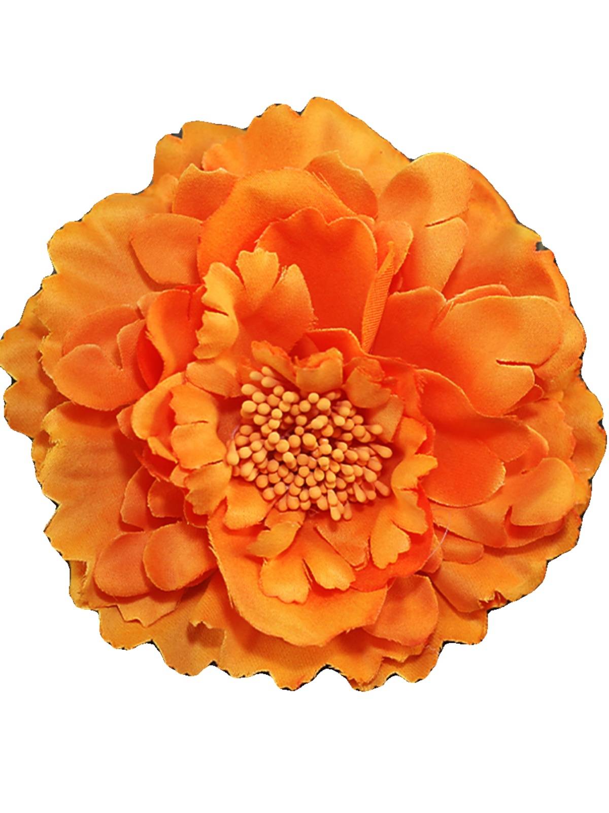 National standard dance accessories Latin white head flower clipped chestnut art test performance red hair jewelry girl