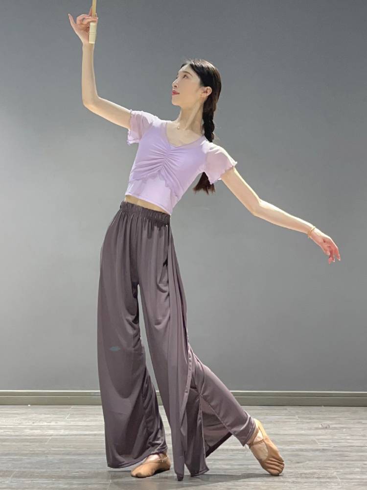 Classical dance short -sleeved dance practice service summer new small flying sleeve dance top female Chinese modern dance body clothes