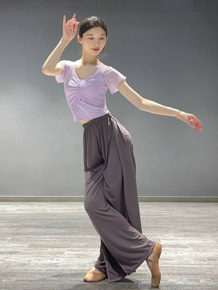 Classical dance short -sleeved dance practice service summer new small flying sleeve dance top female Chinese modern dance body clothes