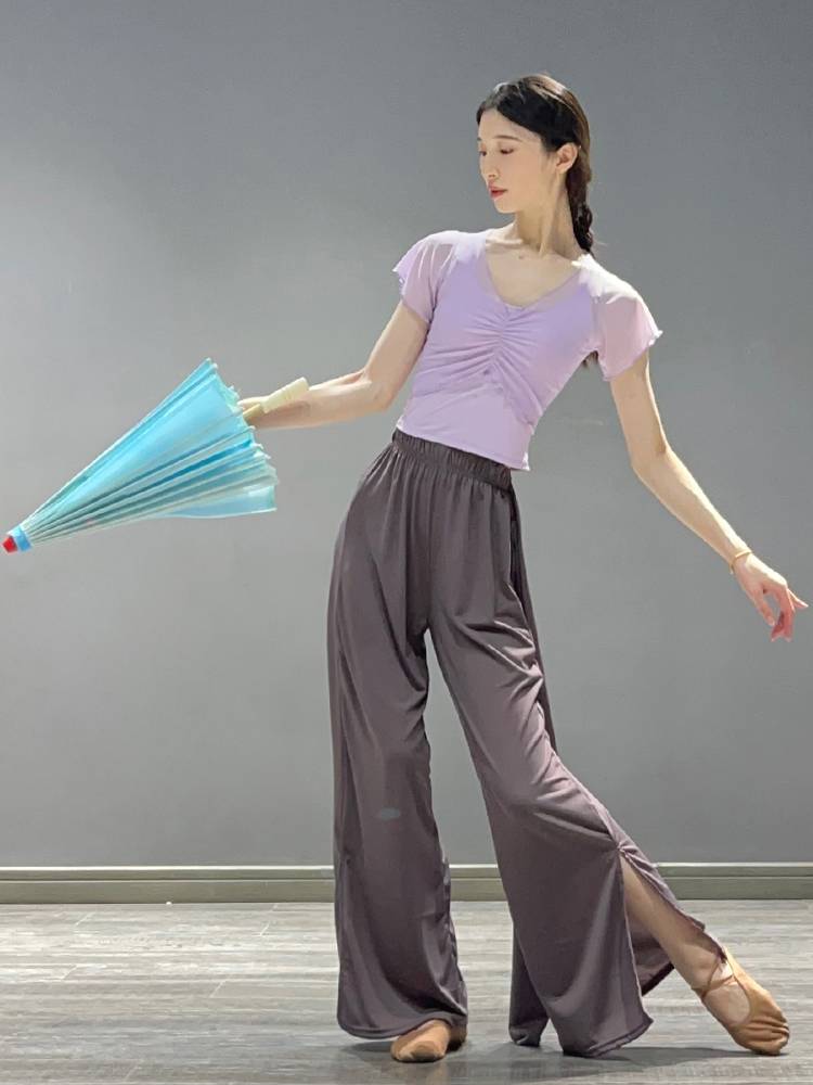Classical dance short -sleeved dance practice service summer new small flying sleeve dance top female Chinese modern dance body clothes