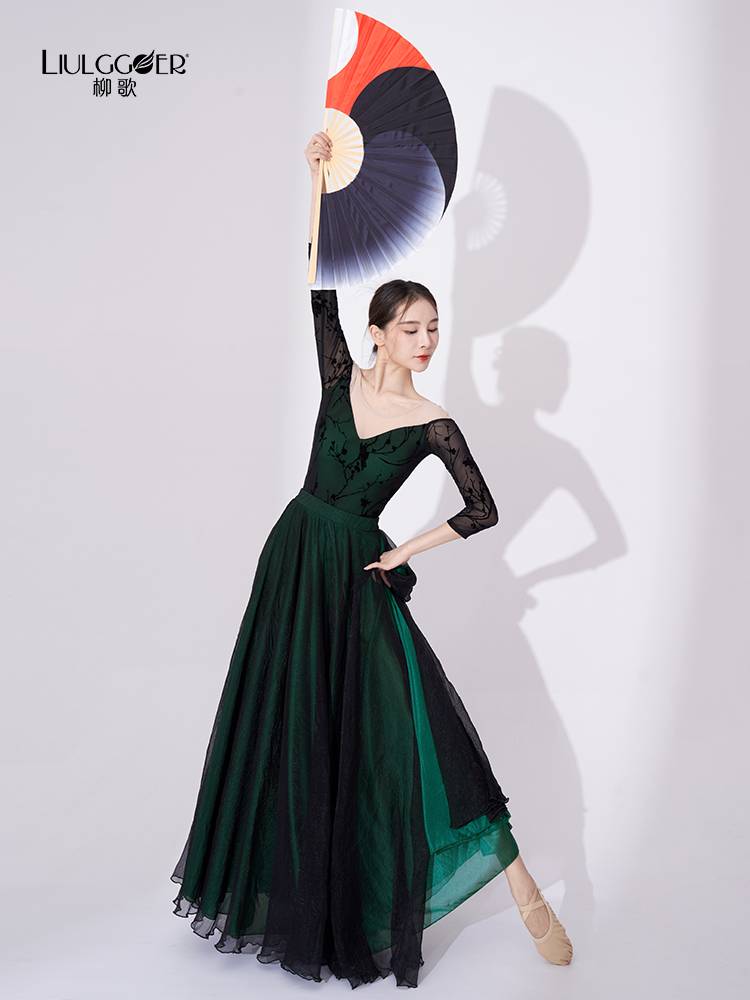 Liu Ge Classical Dance Dance Female Women's Severe 720 -degree Skirt Modern Dance Modern Skirt Performance Clothing