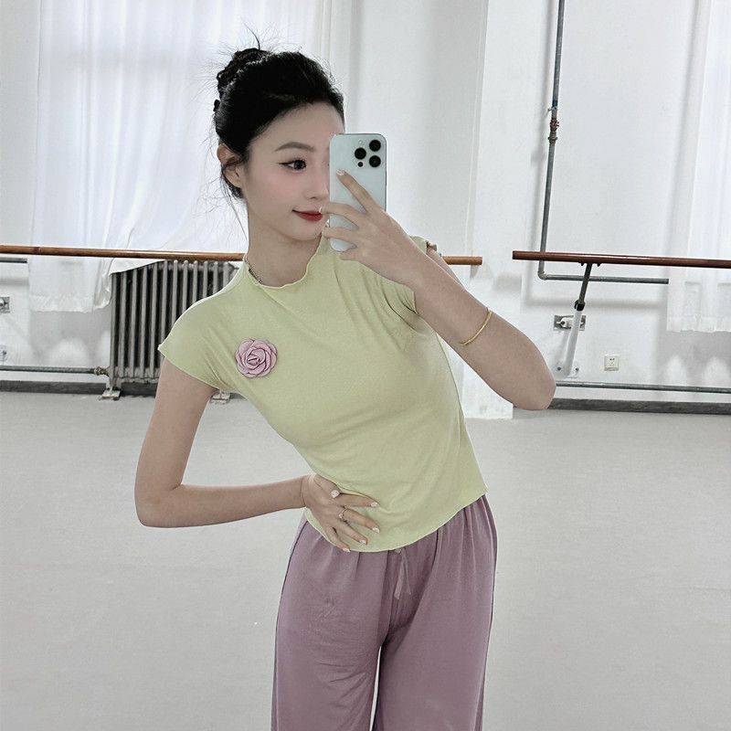 Classical Dance Dance Dance Female Summer Standing Sleeveless Dance Series Modern Dance Collection Training Student Chinese Dance Clothing