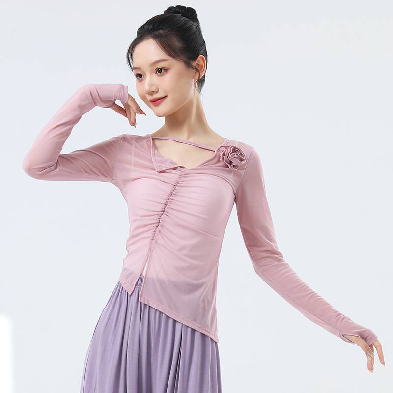 Dance clothing classical dance net gauze dancing top female summer Chinese style modern dance adult performance clothing practice service