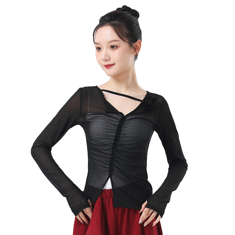 Dance clothing classical dance net gauze dancing top female summer Chinese style modern dance adult performance clothing practice service