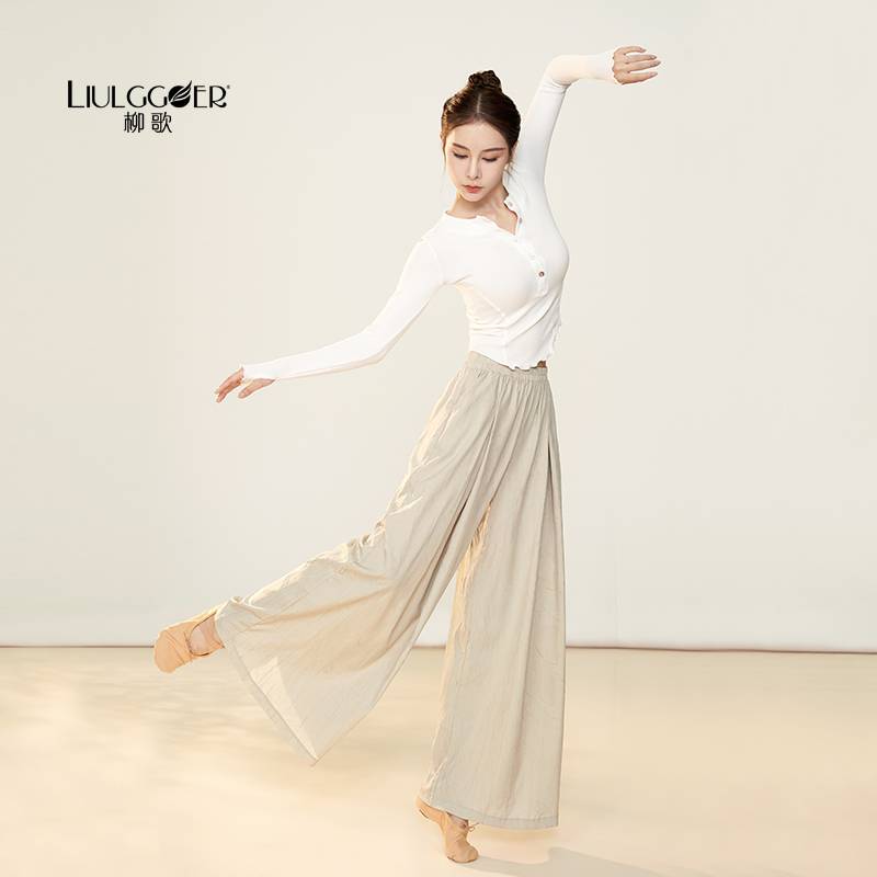 Liu Ge Modern Dance Practice Dressing Dance Step Loose Wide -leg Pants Chinese Classical Dance Flowing Straight Dance Pants Professional Fita Clothing
