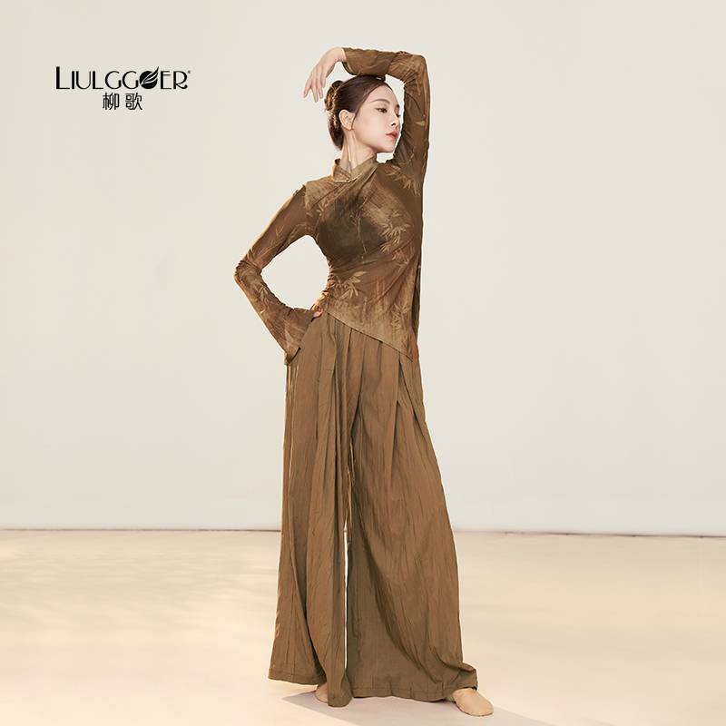 Liu Ge Modern Dance Practice Dressing Dance Step Loose Wide -leg Pants Chinese Classical Dance Flowing Straight Dance Pants Professional Fita Clothing