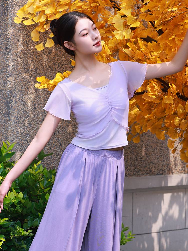 3375 Modern Dance Female Summer Summer New Short -sleeved Net Mandarin Permanent Personal Practice Dance Fake two -piece top