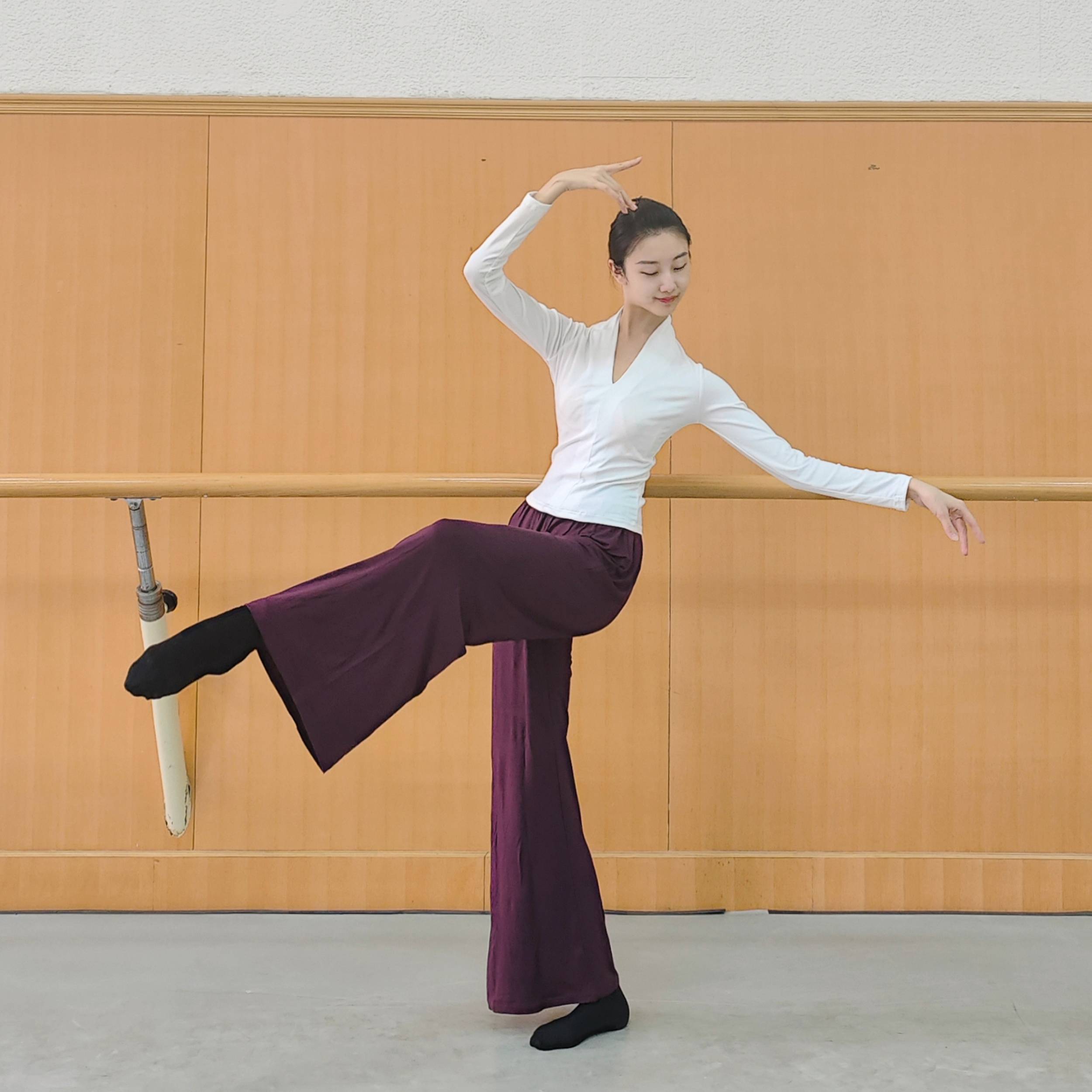 Classical dance top dressing, clothing female modern dance dance service long -sleeved ballet Model high -necked training service test