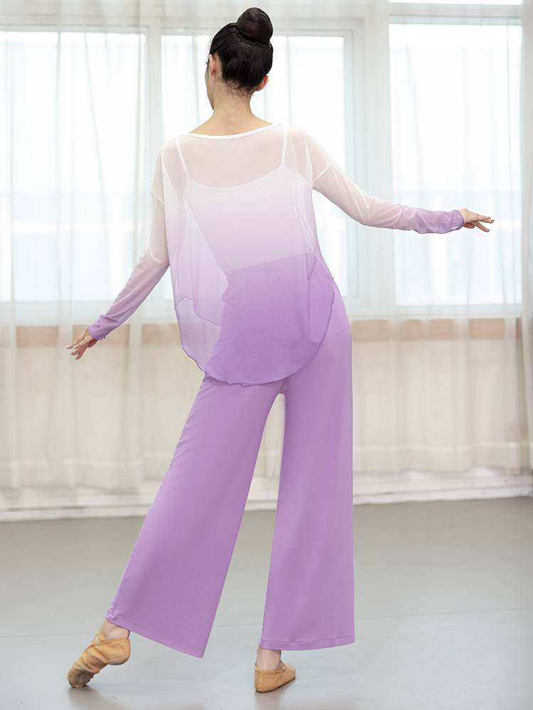 Classical Dance Gradm mesh long -sleeved Chinese dance exercise service women's top student modern dance service body rhyme dance service