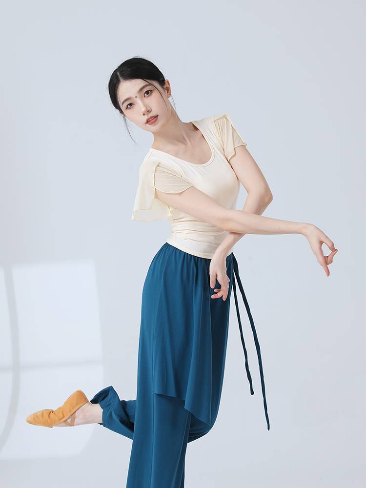Modern dance exercise, adult female small flying sleeve dance top, Chinese classical dance short -sleeved performance clothing