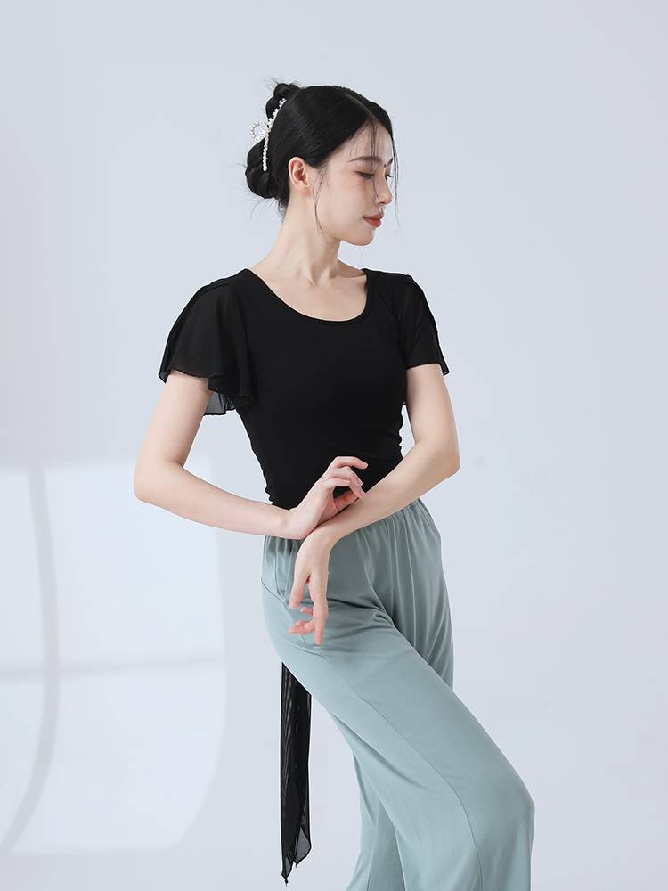 Modern dance exercise, adult female small flying sleeve dance top, Chinese classical dance short -sleeved performance clothing