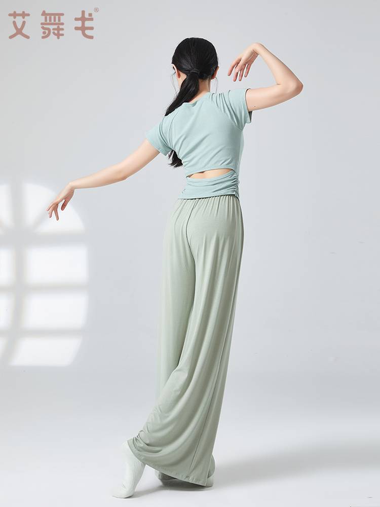 Ai Wu Ge practiced body clothes in summer modern dance short sleeves, top tops, female adult classical Chinese dance clothing