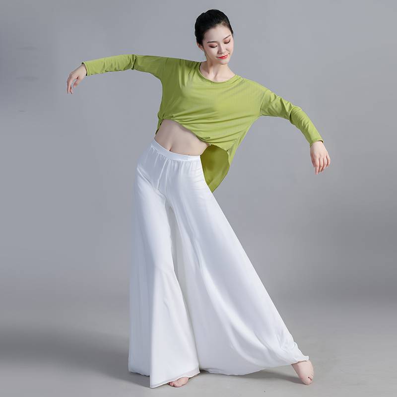 Chinese classical dance modern dance oriental belly dance exercise attack loose top 2024 new wide -leg pants suit