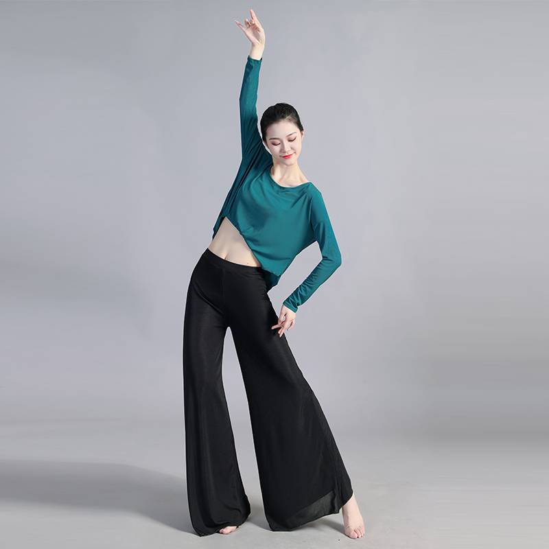 Chinese classical dance modern dance oriental belly dance exercise attack loose top 2024 new wide -leg pants suit