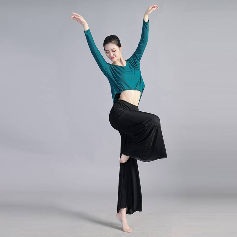 Chinese classical dance modern dance oriental belly dance exercise attack loose top 2024 new wide -leg pants suit