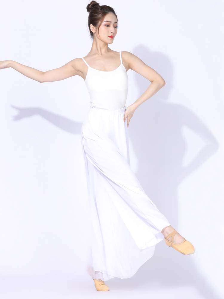 Shan Ran Hall New Spring Classical Dance Dance Hanging New Practice Uniforms Various Modern Dance in Modern Dance Performance Clothing