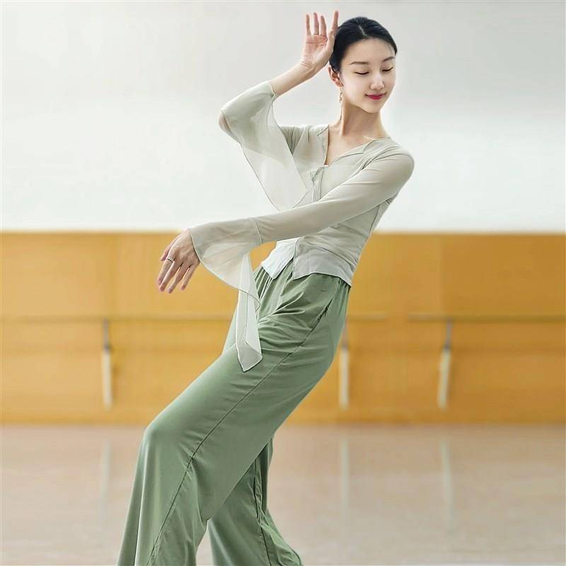 Classical dance clothing is thin, wide -leg straight tube 10,000 year -old pants female modern dance pants, elegant body training dance pants