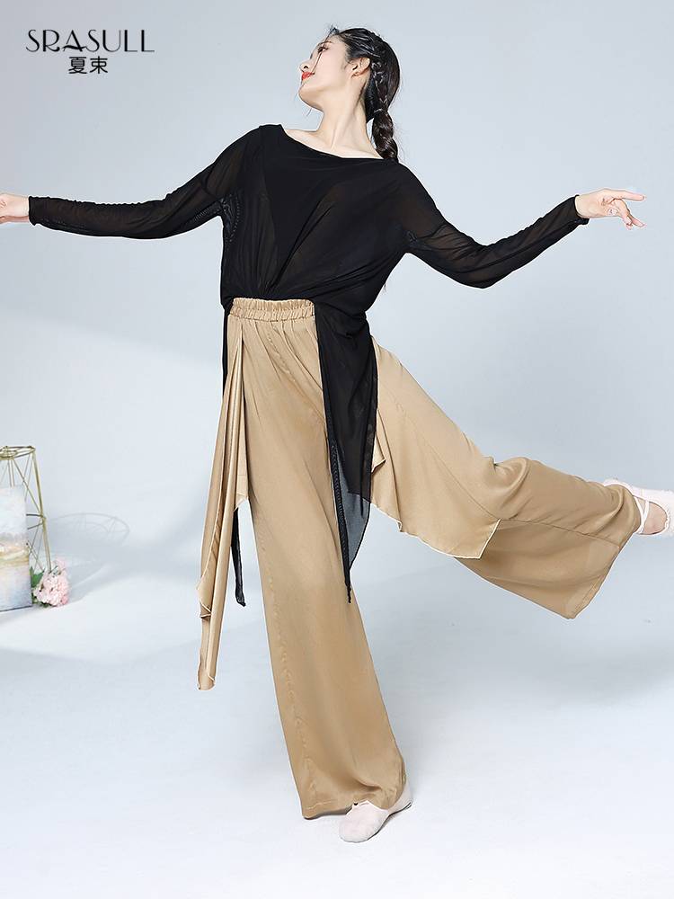 Xia Shu Modern Dance Dance Dance Dance Practice Dressing Dress Loose Long Sleeve Adult Classical Dance Clothing Close Black Training Server