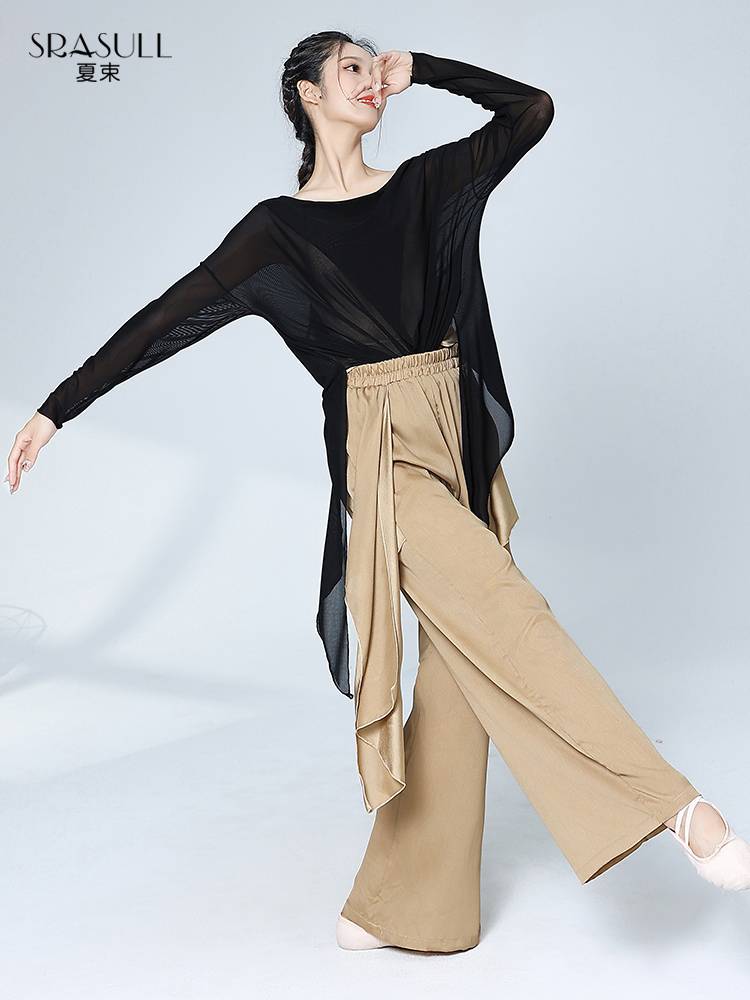 Xia Shu Modern Dance Dance Dance Dance Practice Dressing Dress Loose Long Sleeve Adult Classical Dance Clothing Close Black Training Server
