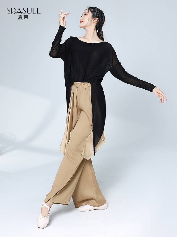 Xia Shu Modern Dance Dance Dance Dance Practice Dressing Dress Loose Long Sleeve Adult Classical Dance Clothing Close Black Training Server