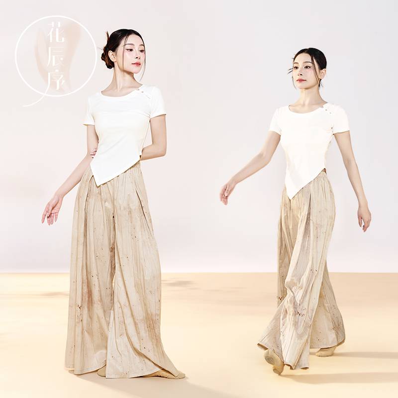 Huachen preface Classical dance camisole Modern short -sleeved long -sleeved dance clothing clearance warehouse does not return, 29 yuan