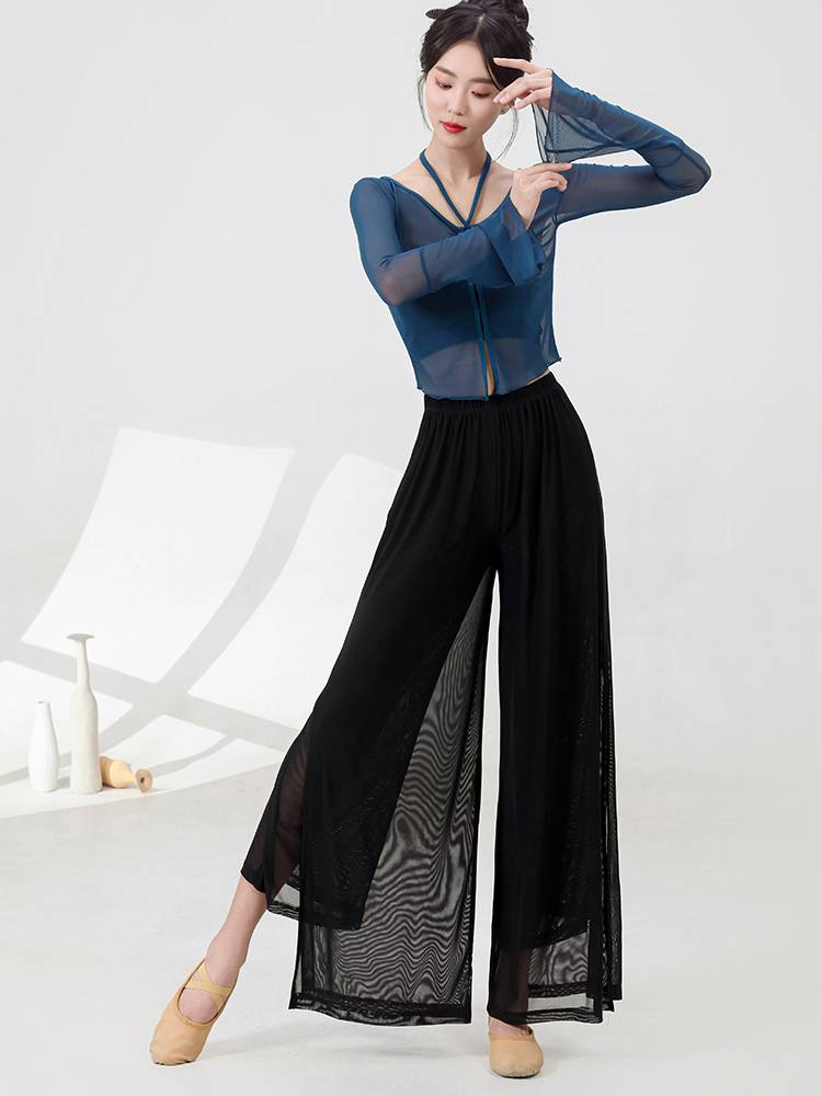 Modern dance service female new net yarn horn long sleeves long sleeves, spring and summer classical dance -shaped dance clothing art test exercises