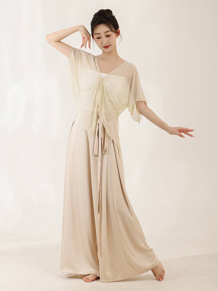Chun Ruo Ji Hyundai Dance Pants Saton Width -leg Pants Professional Training Chinese Dance Performance Classical Dance Pants