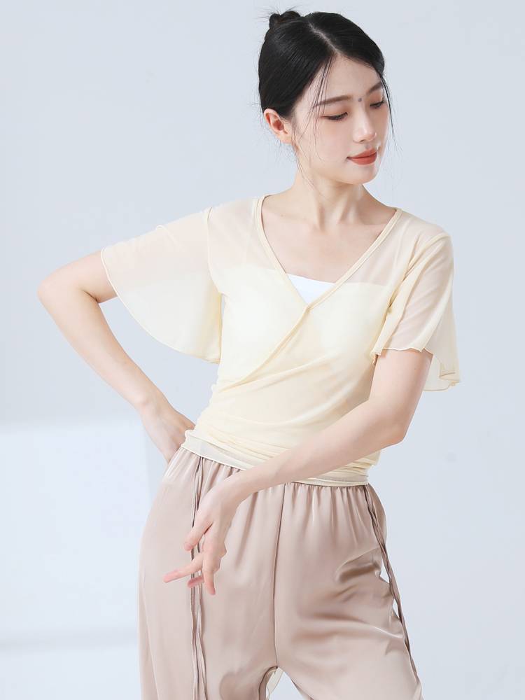 Classical dance clothing adult women's top gauze 2024 new gauze training exercise figure elegant art test dancing modern