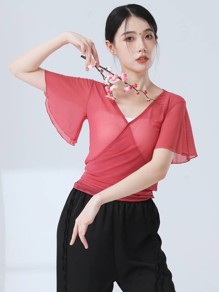 Classical dance clothing adult women's top gauze 2024 new gauze training exercise figure elegant art test dancing modern