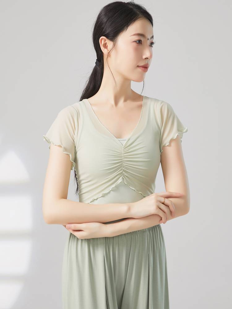 The new modern dance exercise girl Xiaofei sleeve dance short sleeve top Chinese style classical dance training clothing