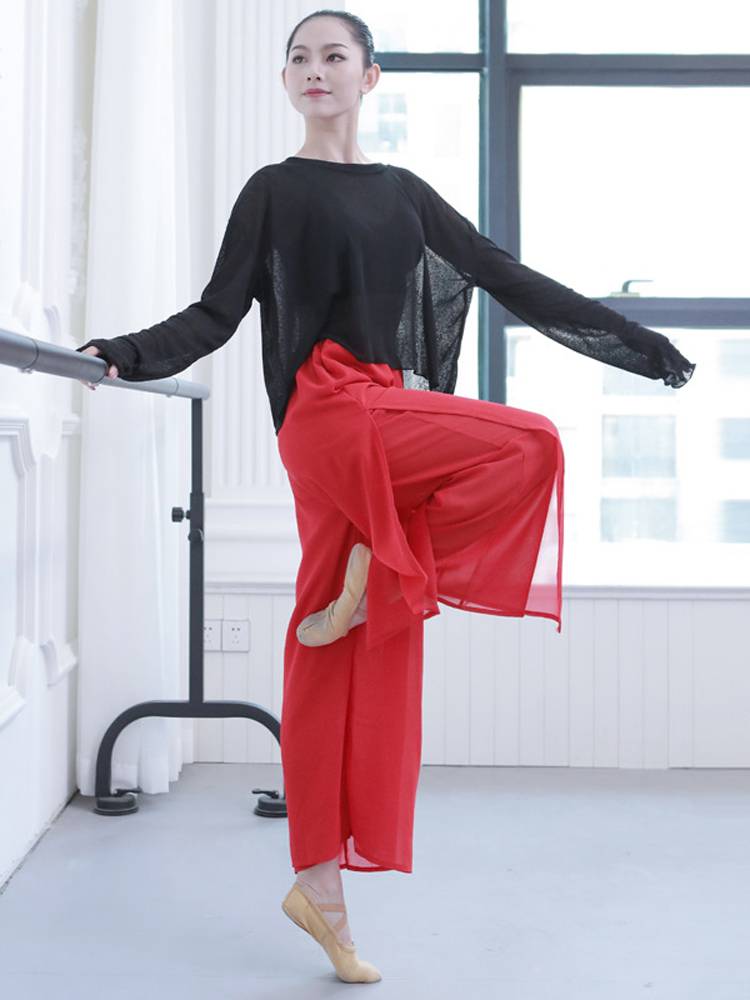 Gongyan adult summer sexy back split, loose, elegant classical modern dance practice service art test performance cover blouse